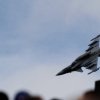 Aviation